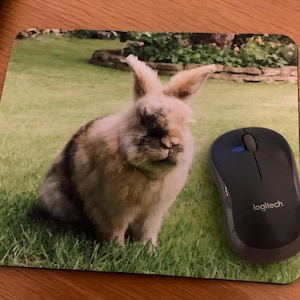 Hamish added a photo of their purchase