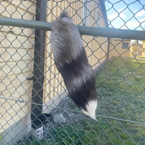 Cuenta inactiva ha añadido una foto de su compra