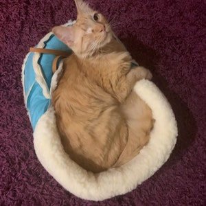 moccasin cat bed