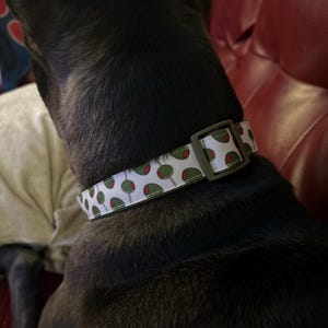 Lucy added a photo of their purchase