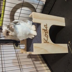 Karen added a photo of their purchase