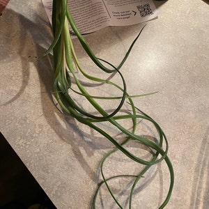 Susan added a photo of their purchase