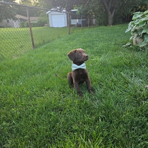 Heather added a photo of their purchase