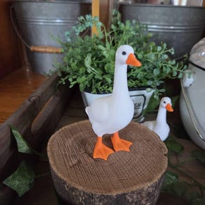 Nancy added a photo of their purchase