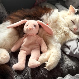 Regan added a photo of their purchase