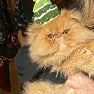 Megabethie ha añadido una foto de su compra