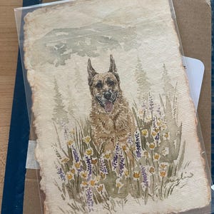 Caitlyn さんが購入した商品の写真を追加しました