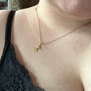 Sophia added a photo of their purchase