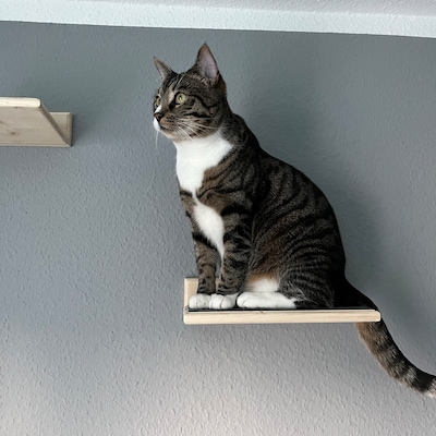 Kattenladder, kattentrap, gevlamd, kattentrede, voor balkon, 6 m, zonder bevestiging