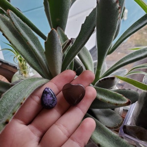 Olivia added a photo of their purchase