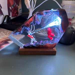 Haley added a photo of their purchase