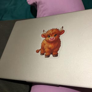 Courtney a ajouté une photo de son achat