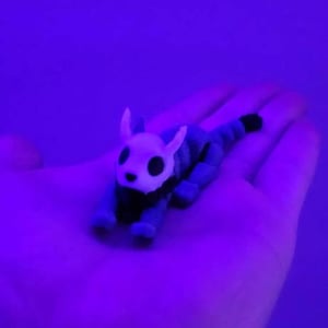 Kanto heeft een foto van zijn/haar aankoop toegevoegd