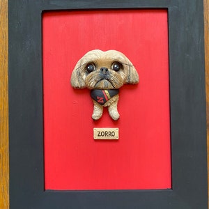 Zorro added a photo of their purchase