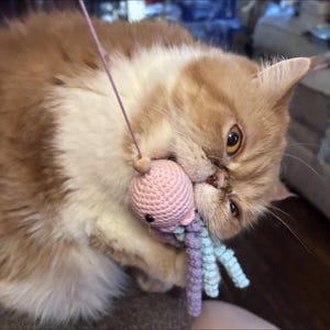 Mitch heeft een foto van de aankoop toegevoegd