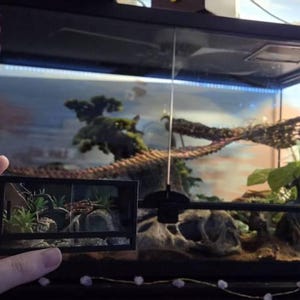 Rose added a photo of their purchase