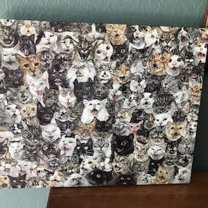 Bryan added a photo of their purchase