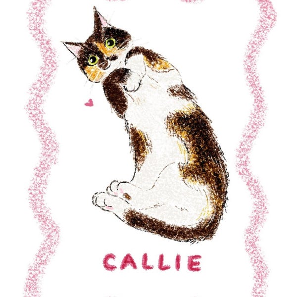Custom Badly Drawn Pet Portrait, Personalized Cat Portrait, Unique Pet ...
