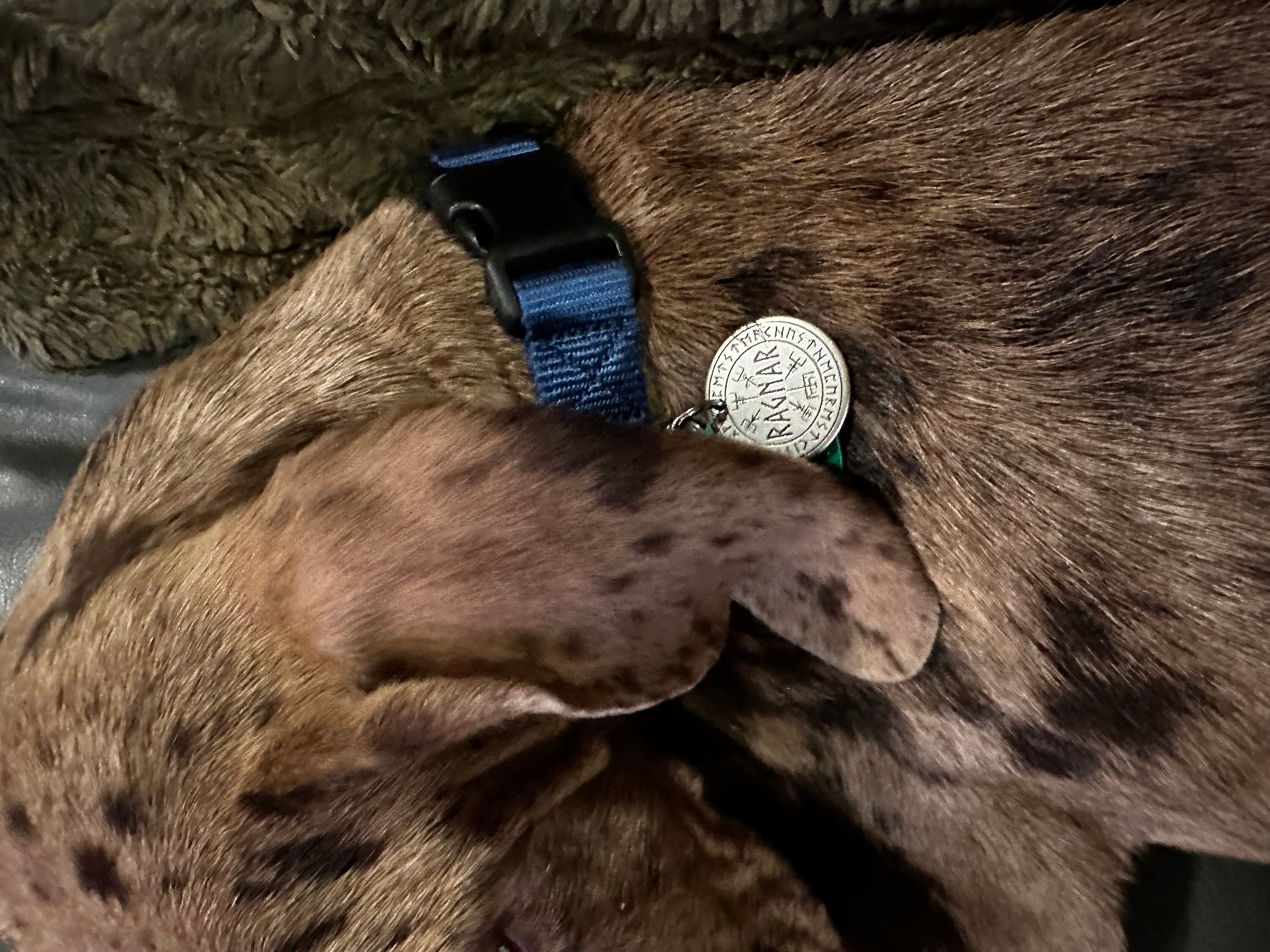 Personalized Pet Tag - Vegvisir / Viking Compass and Runes - Custom Dog Cat Identification Tags - Round