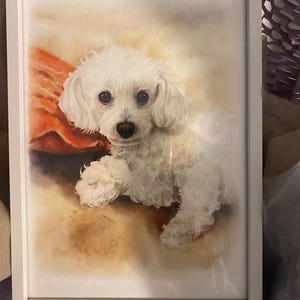 Mona added a photo of their purchase