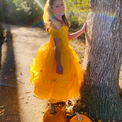 Belle Inspired Dress, Belle Dress , Beauty and the Beast, Belle Party ...