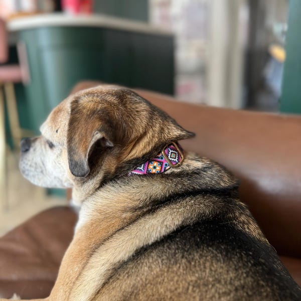 Personalized Dog Collar Pattern, Aztec Dog Collar Engraved, Southwest ...