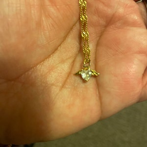 diana added a photo of their purchase