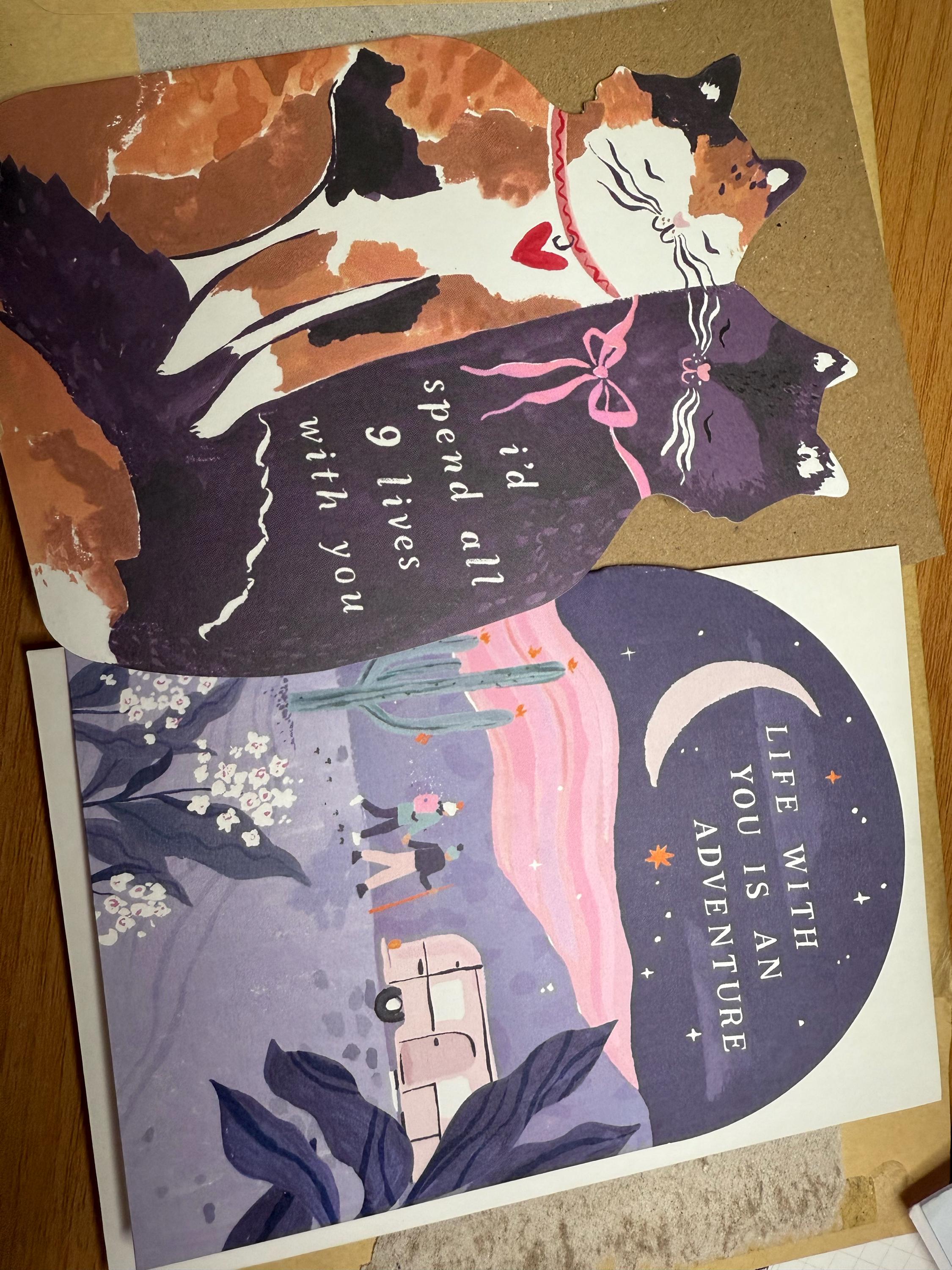 Nine Lives Cats Cards | Love Cards | Anniversary Cards | Valentines Cards | Anniversary Greeting Card | Cats Anniversary Card