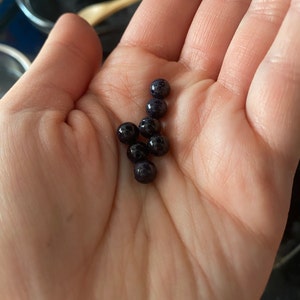 Alexanna heeft een foto van de aankoop toegevoegd