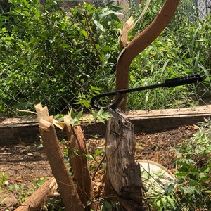 Leopoldo added a photo of their purchase