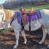 Veste de concours équitation femme - Elegance Equestro