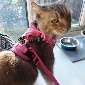 Ellie added a photo of their purchase