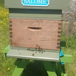 Polly added a photo of their purchase