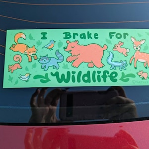 Sammie added a photo of their purchase