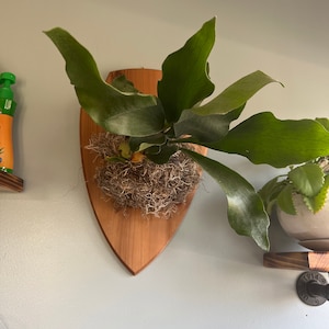Elizabeth added a photo of their purchase