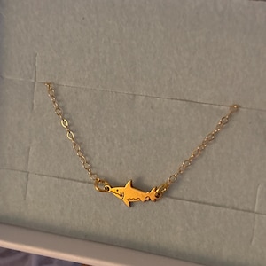 Customer photo, Shark Bracelet