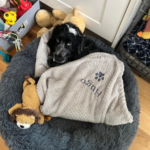 Beth added a photo of their purchase