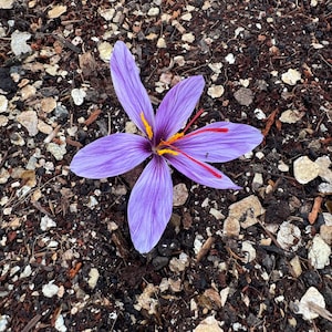 Ashley added a photo of their purchase