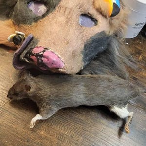 Buzzybee ha añadido una foto de su compra