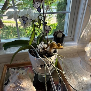 Kat added a photo of their purchase