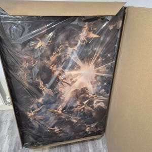 Olugbenga added a photo of their purchase