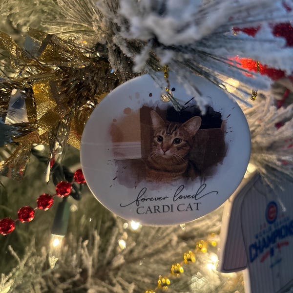 Fall Door Hanger, Hello Fall Door Sign, Fall Welcome Sign, Fall Decor ...