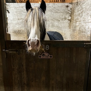 Plaque signalétique personnalisée en fer en forme de fer à cheval pour chevaux Logo personnalisé de grange de ferme antirouille d'animaux