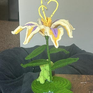Haley added a photo of their purchase