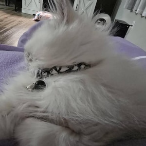 Sadie adicionaram uma foto da sua compra