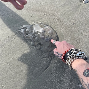 slimeboy added a photo of their purchase