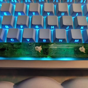Erin added a photo of their purchase