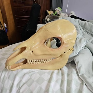 Rueben added a photo of their purchase