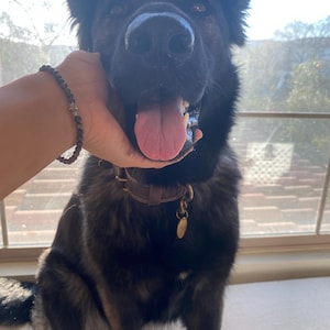 Gray added a photo of their purchase