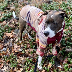 ut dog sweater